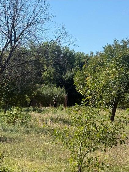 casa#teren#vanzare - 1