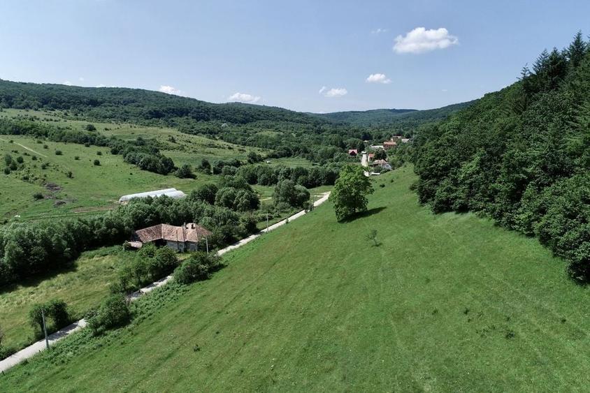 Teren de 8000 mp, în Micești