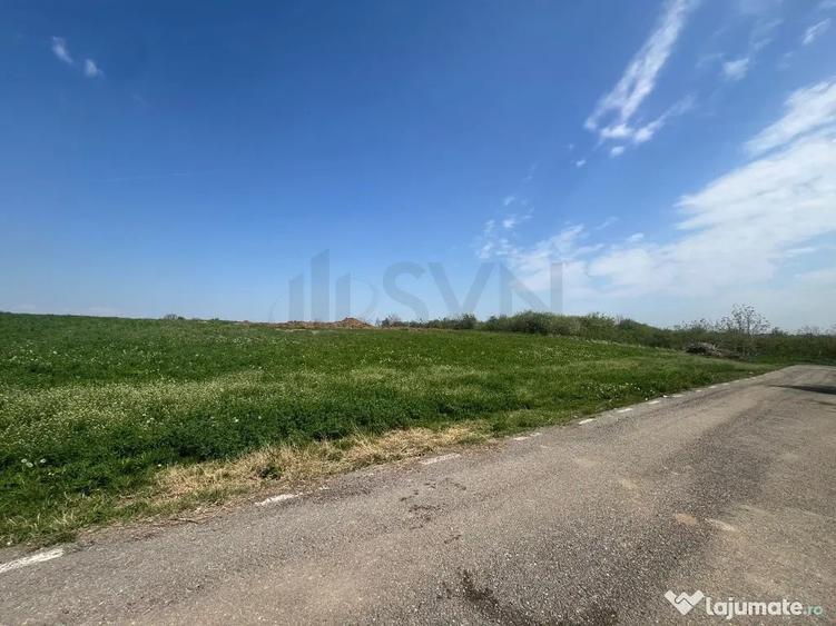 Teren de 15000 mp, în Snagov