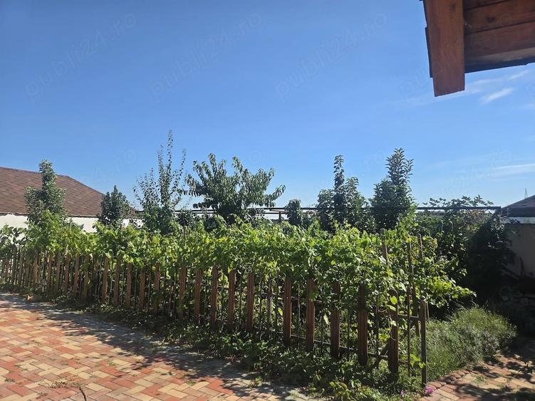 Casă cu Teren 750 Mp în Pleșești (Berca)