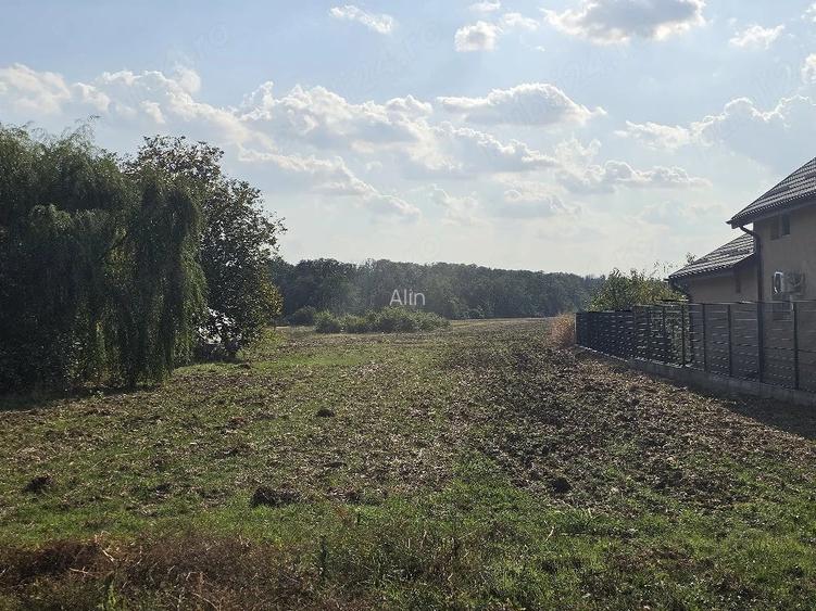 De vanzare teren intravilan 6.100 m2 Lipia (Gruiu) Deschidere 22 m | Langa padure, utilita?i