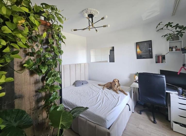 Apartament cu 2 camere nedecomandat în Circumvalațiunii