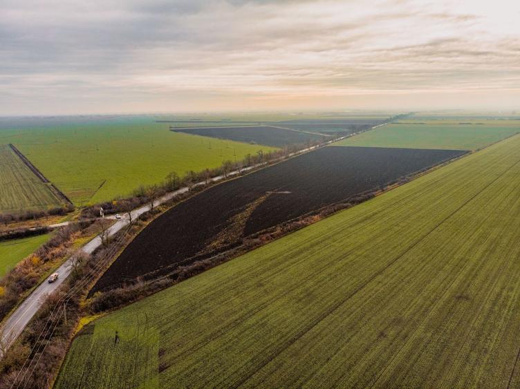 Teren agricol extravilan de 46001 mp, în Gai