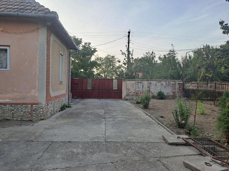 Casa de vanzare - loc. Cenad - 3