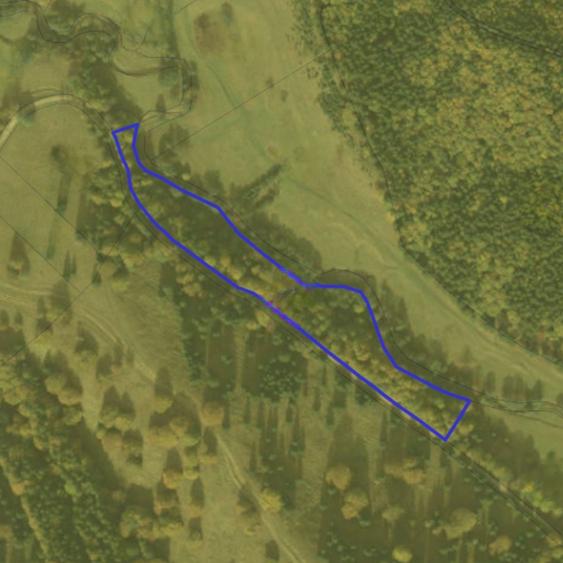 Teren agricol extravilan de 57000 mp, în Vama Buzăului