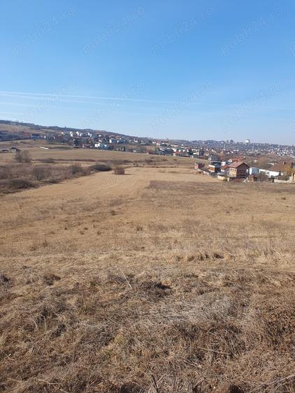 Teren de 5000 mp, în Borhanci