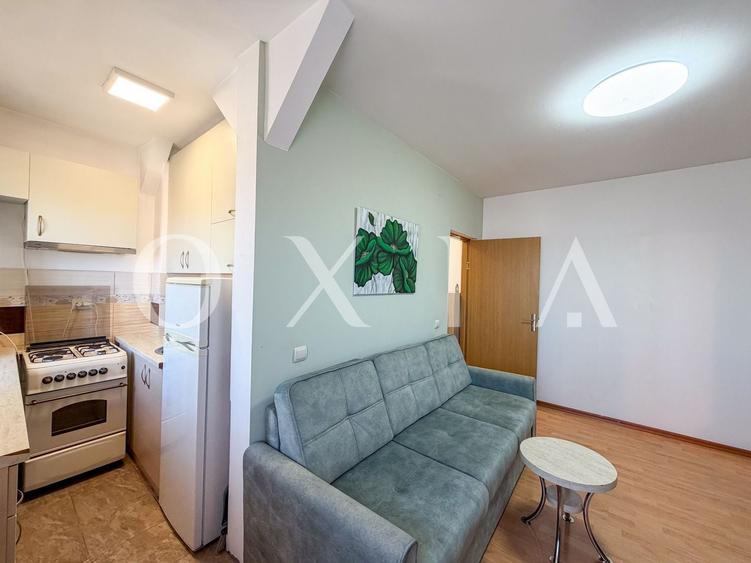 Apartament cu 2 camere semidecomandat, mobilat în Șagului
