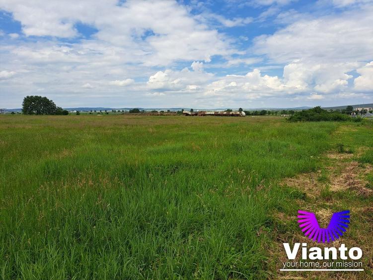 Teren Construcții intravilan de 9000 mp, în Turnișor