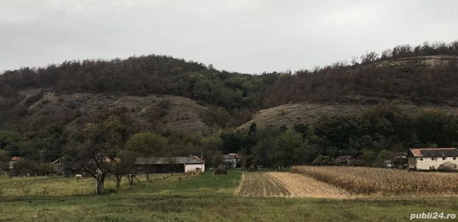 Teren de 6700 mp, în Buceava-Șoimuș