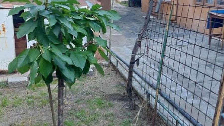 Casă individuală cu 3 camere cu Teren 390 Mp în Central