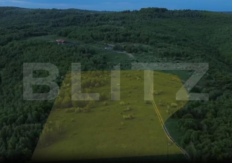 Teren Construcții intravilan de 931 mp, în Sălicea