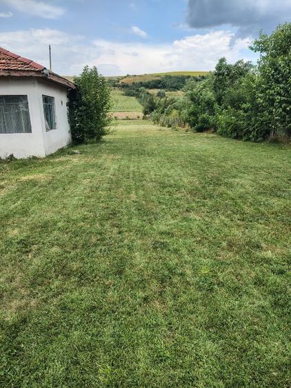 Teren Construcții intravilan de 2000 mp, în Rasnicu Oghian