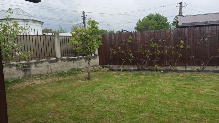 Teren de 900 mp, în Tăriceni