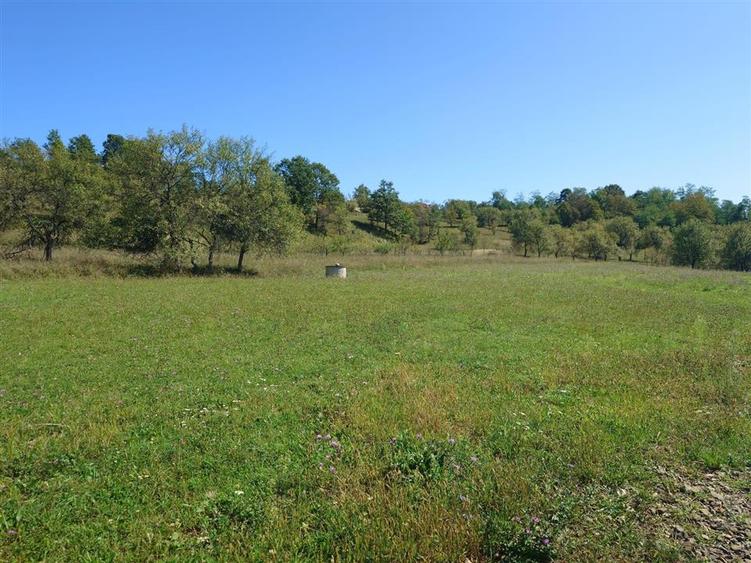 Teren Construcții intravilan de 8757 mp, în Luncoiu de Sus