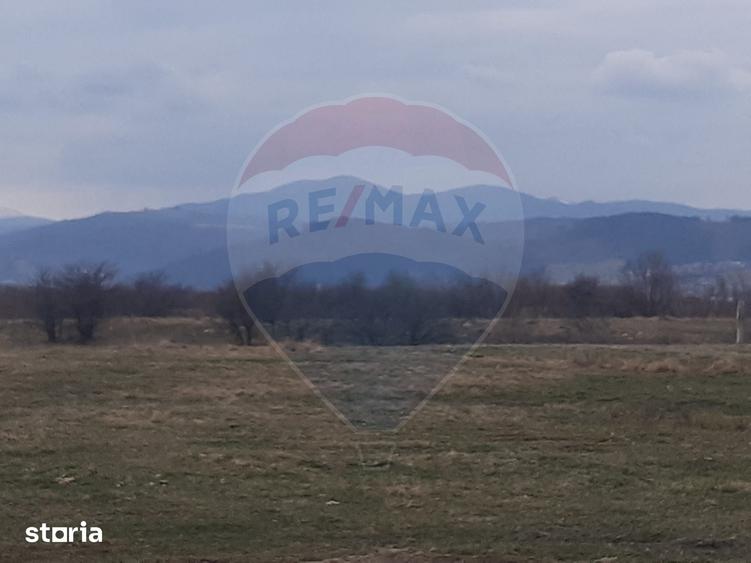 Teren de 10000 mp, în Pănicel
