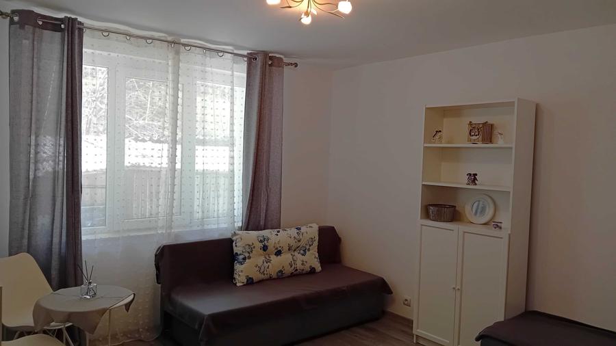 Garsonieră decomandată în Durău