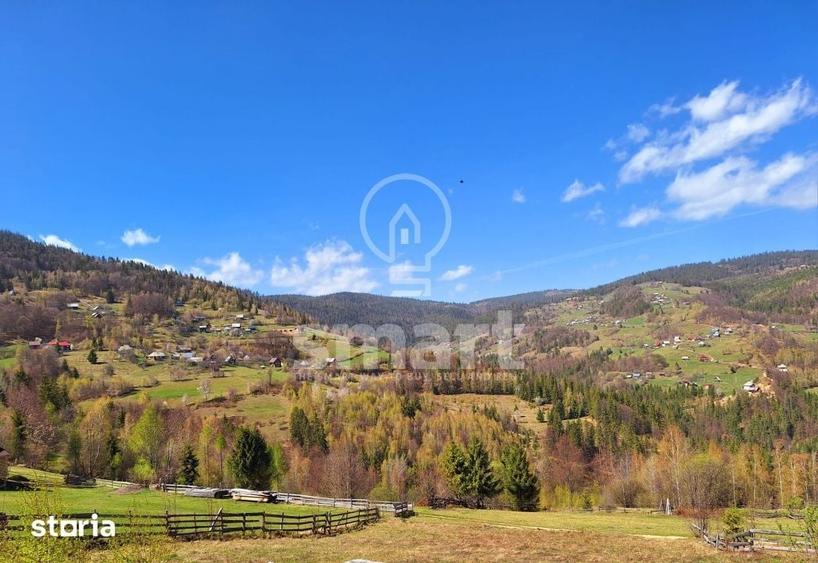 Teren de 1000 mp, în Horea