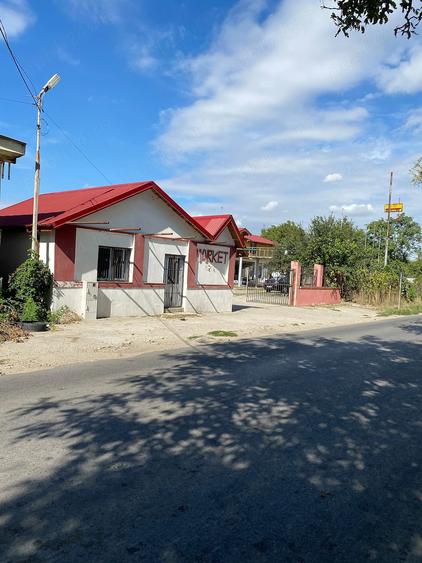 Casă cu 5 camere cu Teren 6700 Mp în Sintești