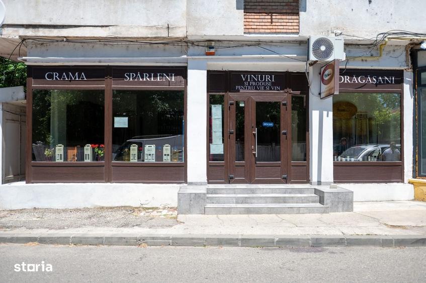 Spațiu comercial, în Teiu