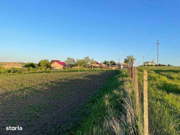 Teren de 3100 mp, în Bălțați