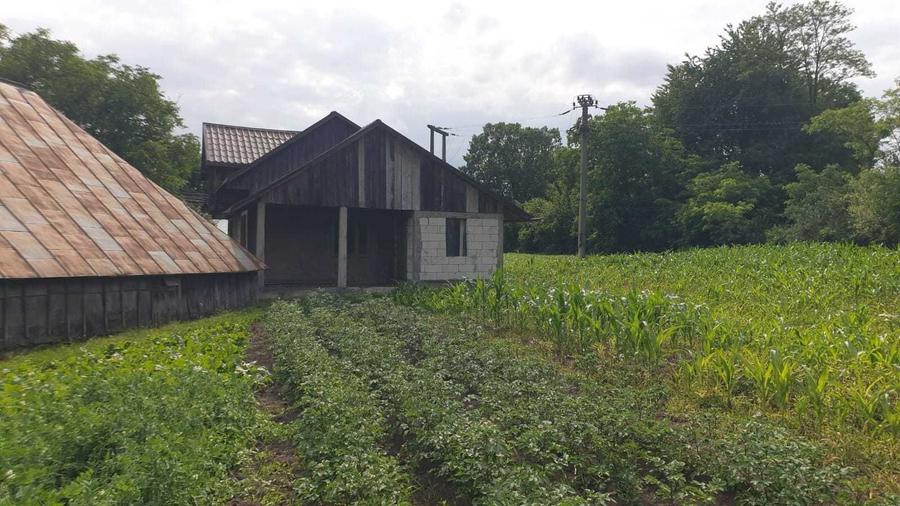 Casă cu 3 camere cu Teren 3600 Mp în Fântâna Mare