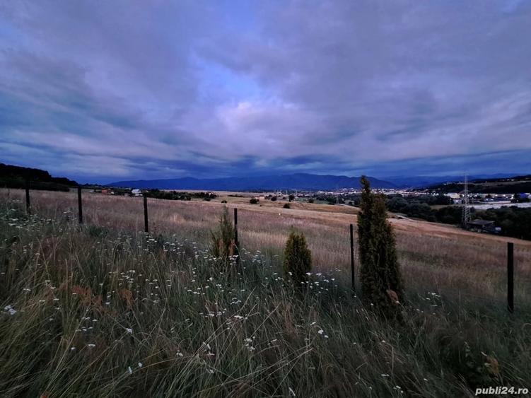 Teren de 650 mp, în Central