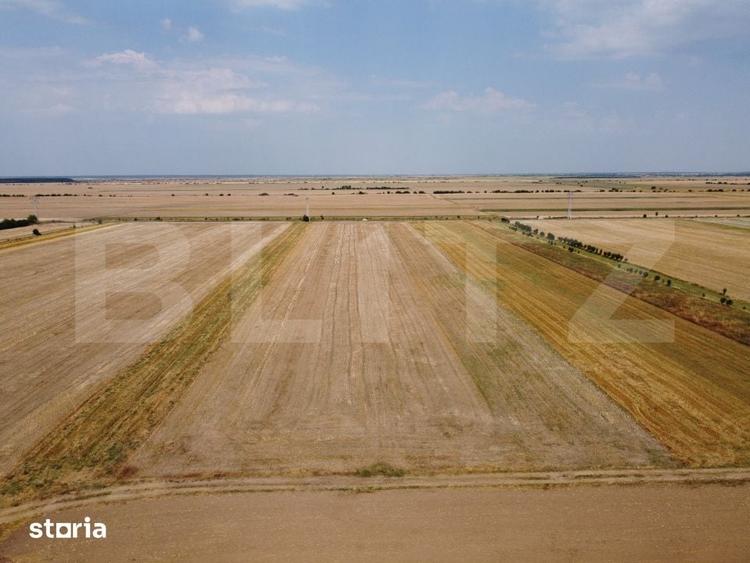 Teren de 7500 mp, în Sălcioara