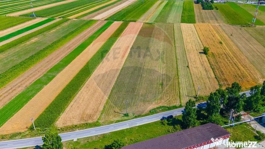 Teren de 7000 mp, în Teliu
