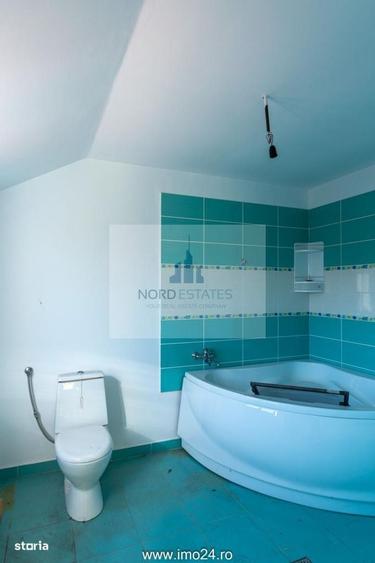 Casă cu 4 camere cu Teren 3150 Mp în Bâldana