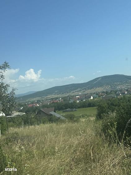 Spațiu comercial, în Central