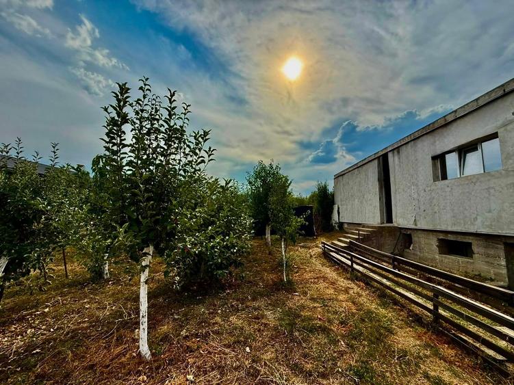 Spațiu comercial, de 420 mp, în Mintia