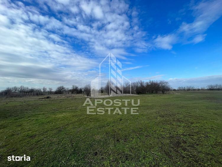 Spațiu comercial, de 10,000 mp, în Gai
