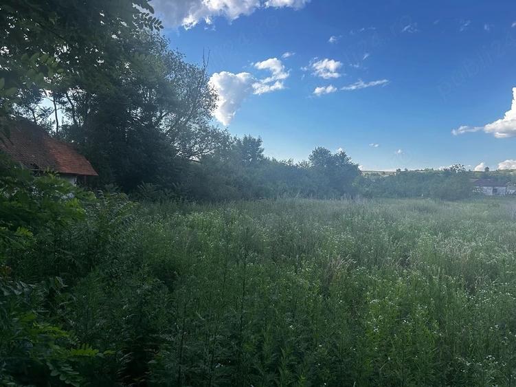 Teren de 2970 mp, în Tauț