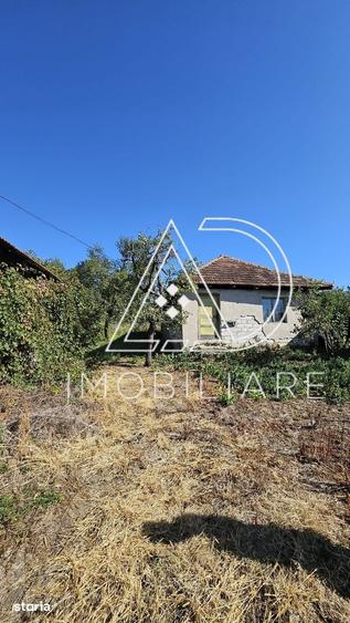 Casă cu 2 camere cu Teren 4067 Mp în Bălănești