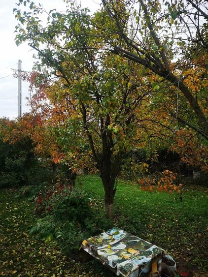 Casă cu Teren 1504 Mp în Puchenii Mari