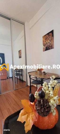 Garsoniera de inchiriat Cismigiu Bucuresti | ApexImobiliare.ro - 2
