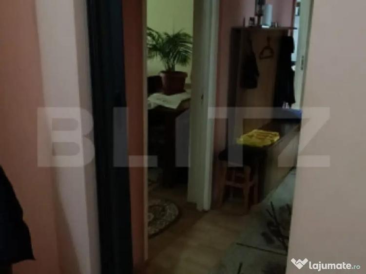 Apartament 3 camere, 2 bai, mobilat, central Ludu? - 10
