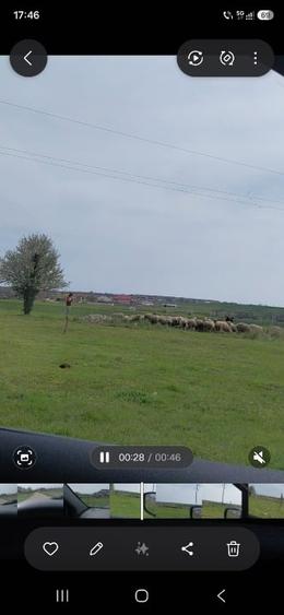 Teren Construcții intravilan de 400 mp, în Exterior Sud