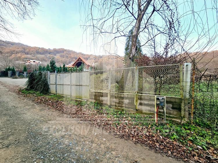 Teren Construcții intravilan de 2900 mp, în Vest