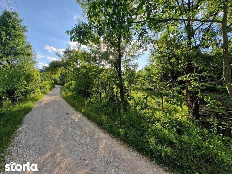 Teren de 4754 mp, în Moțăieni