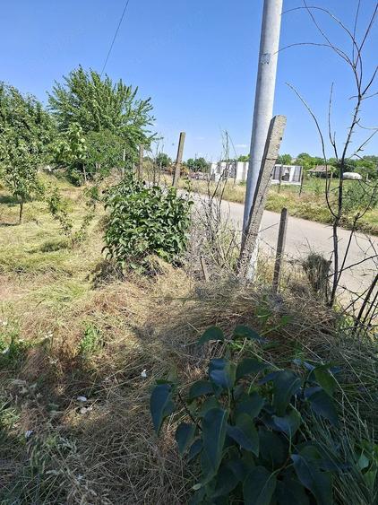 Teren de 2000 mp, în Topraisar