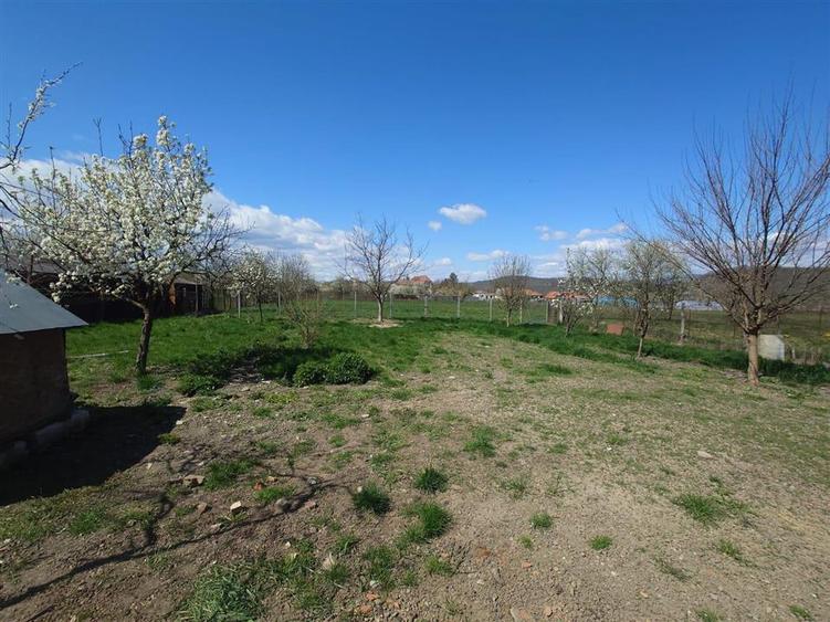 Casă individuală cu 4 camere cu Teren 3892 Mp în Baia de Criș