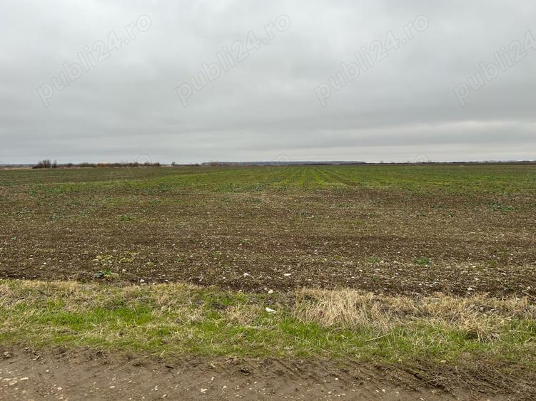 Teren de 15500 mp, în Tărtășești
