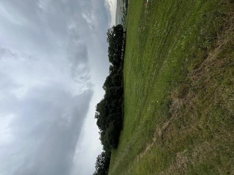 Teren de 5000 mp, în Mociu