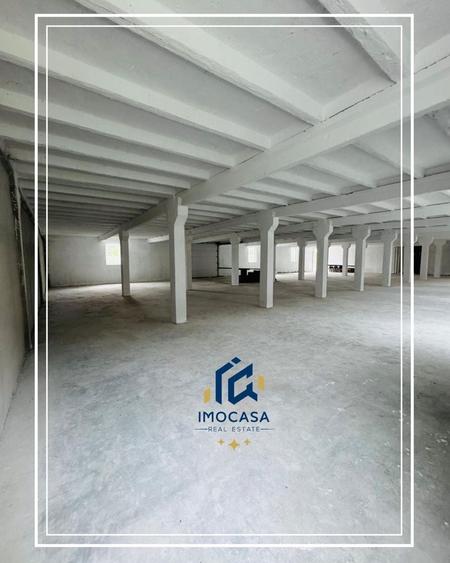 Spațiu industrial, de 470 mp, în Alfa