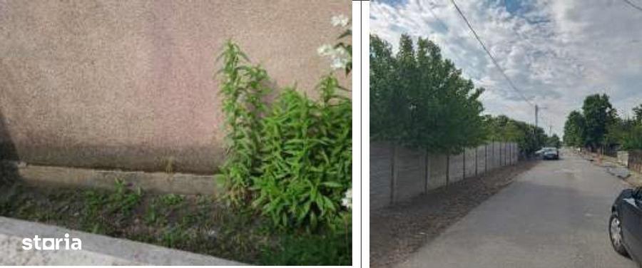 Casă cu 4 camere cu Teren 1269 Mp în Saelele