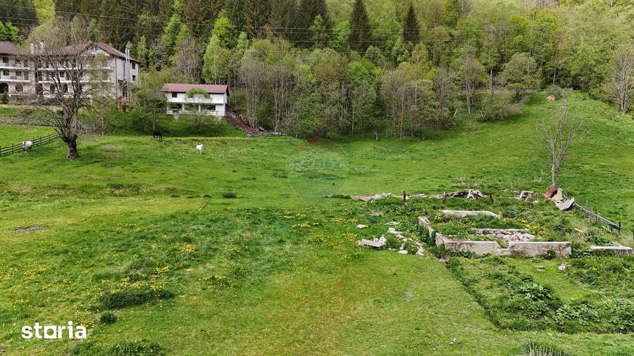 Teren de 10000 mp, în Rucăr
