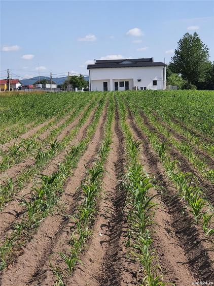 Teren de 2486 mp, în Agapia