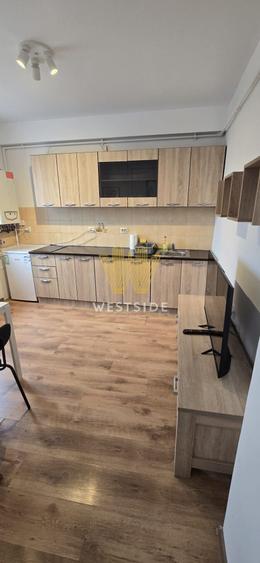 Apartament cu 2 camere decomandat, mobilat în Iosefin