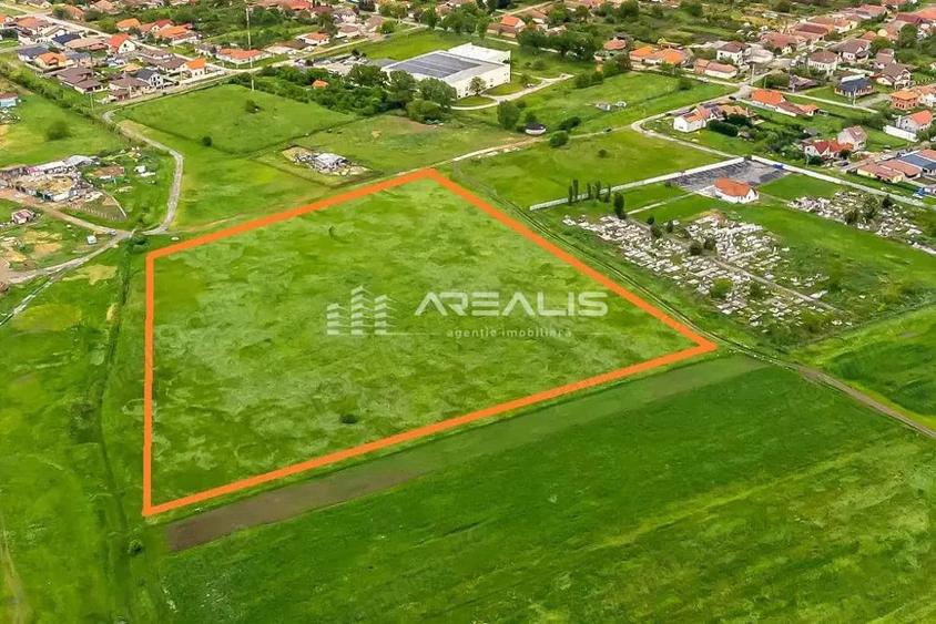Teren de 31000 mp, în Sânleani
